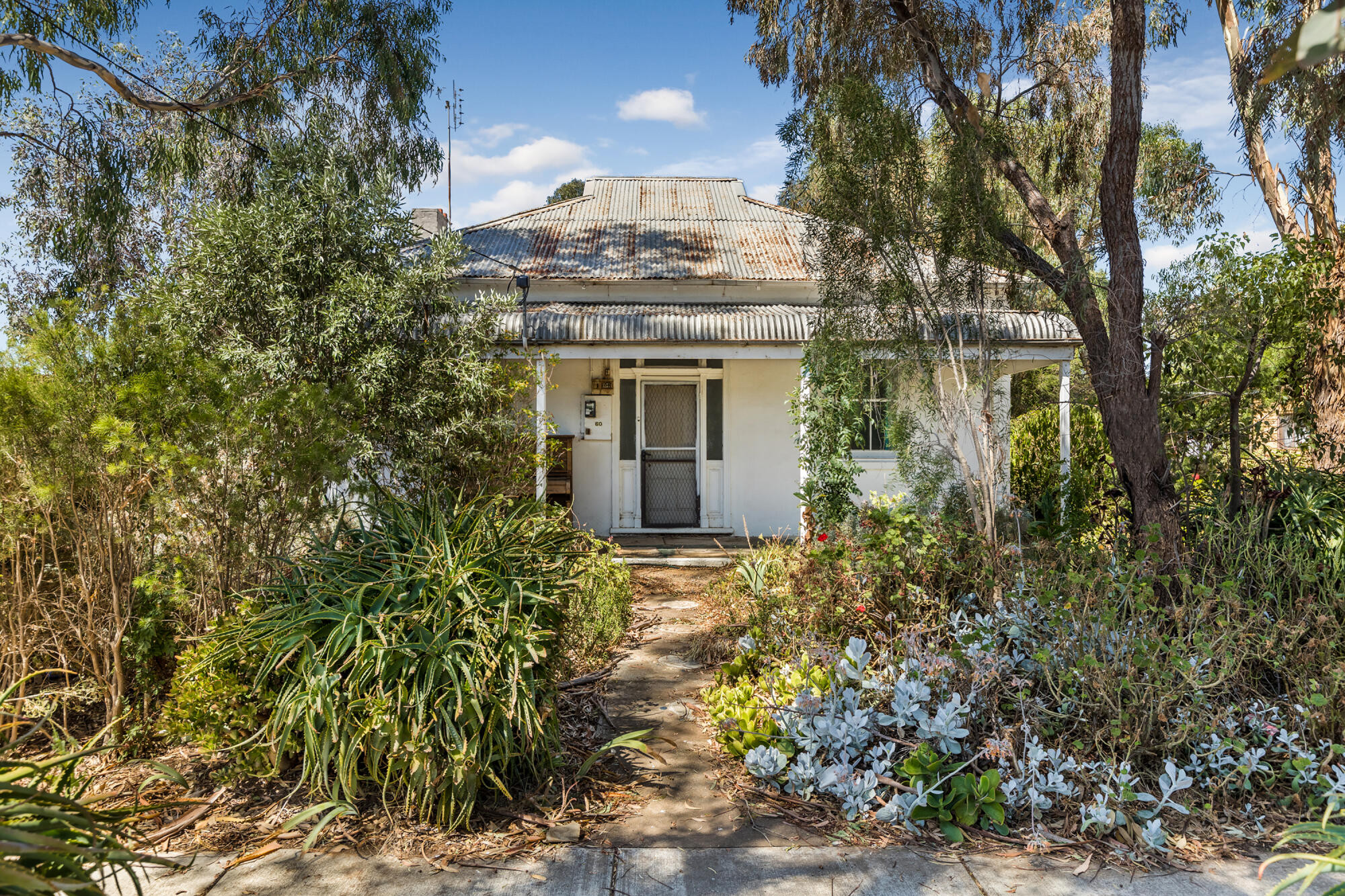 Restoration reward: Open for inspection today - feature photo