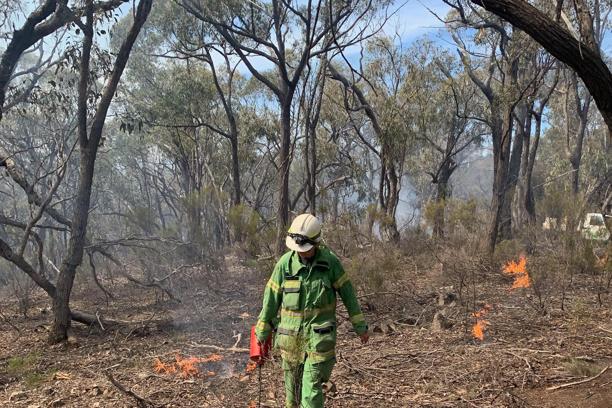 Planned burn - Wedderburn October 12 - feature photo
