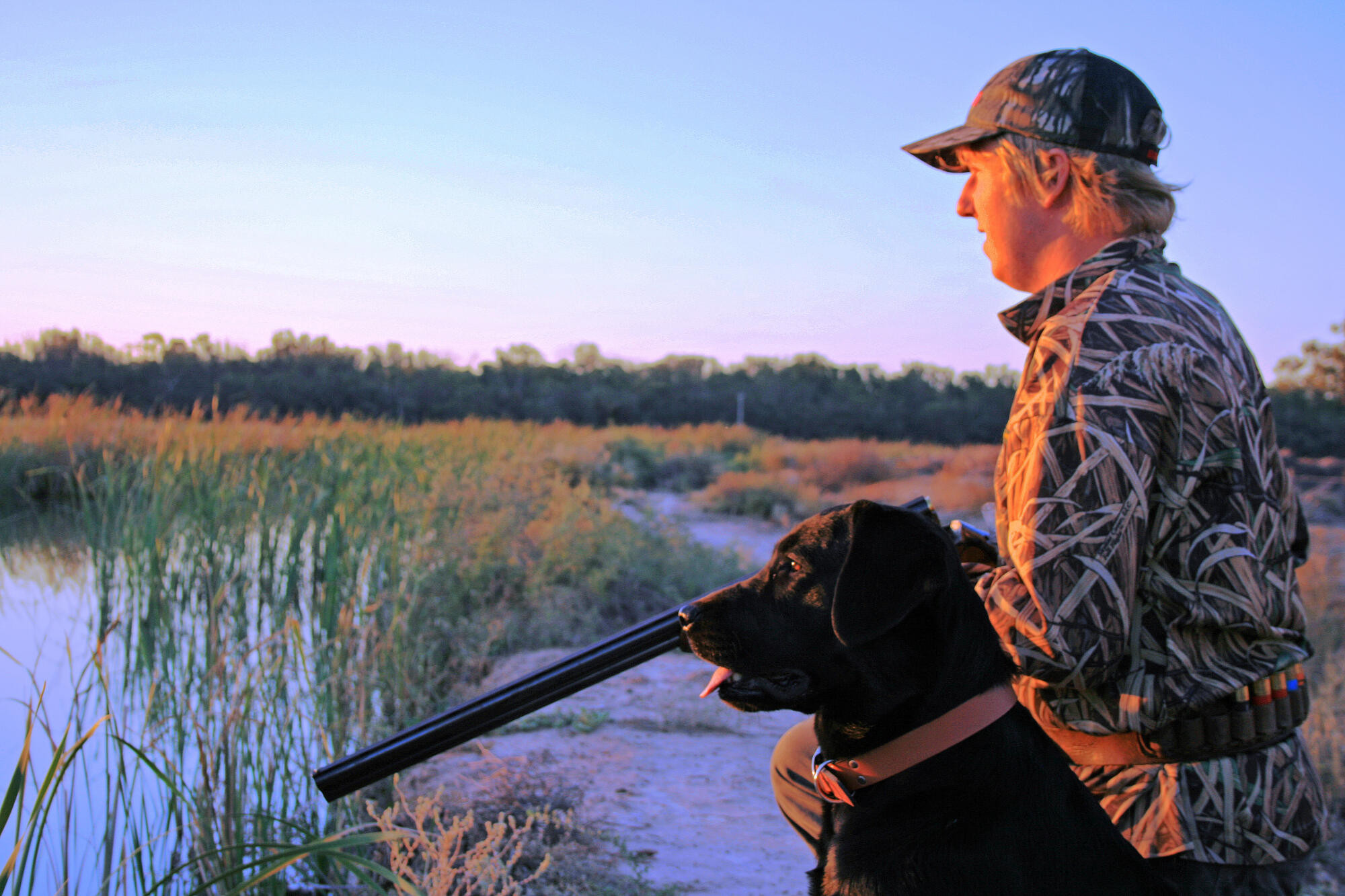 Extended duck season draws ire of activists - feature photo