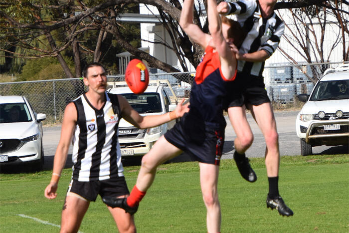 The Oracle says: It’s demographics, farm sizes and footy factors - feature photo