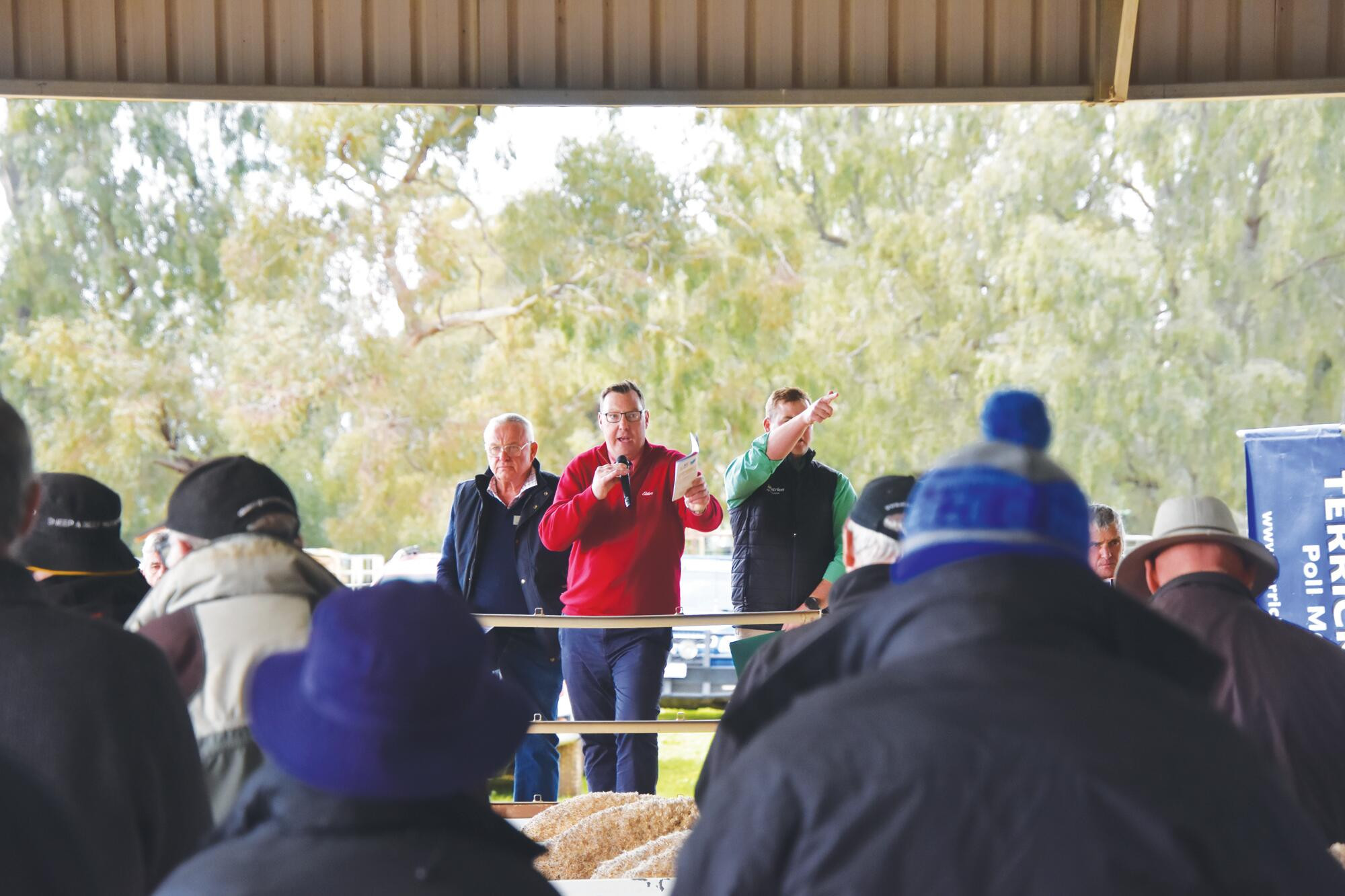 Terrick West to kick off ram sale season - feature photo