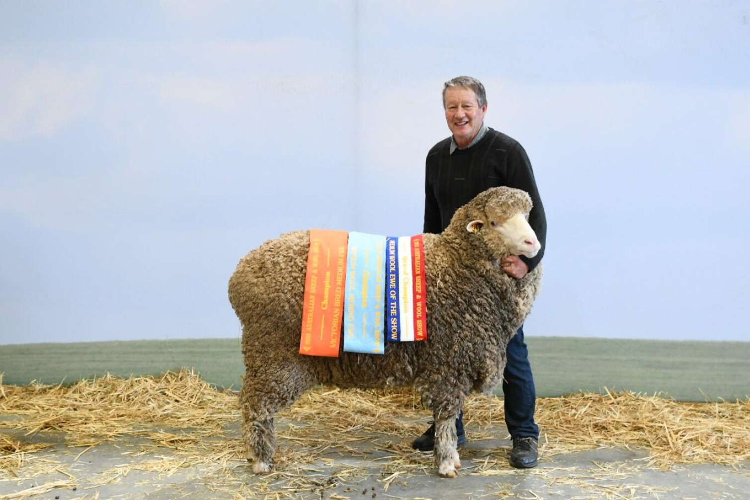 Big frames and wool - feature photo