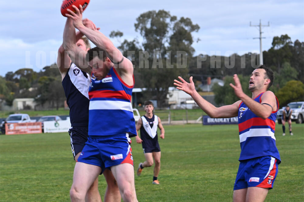 Dogs kick well with the wind to win - feature photo