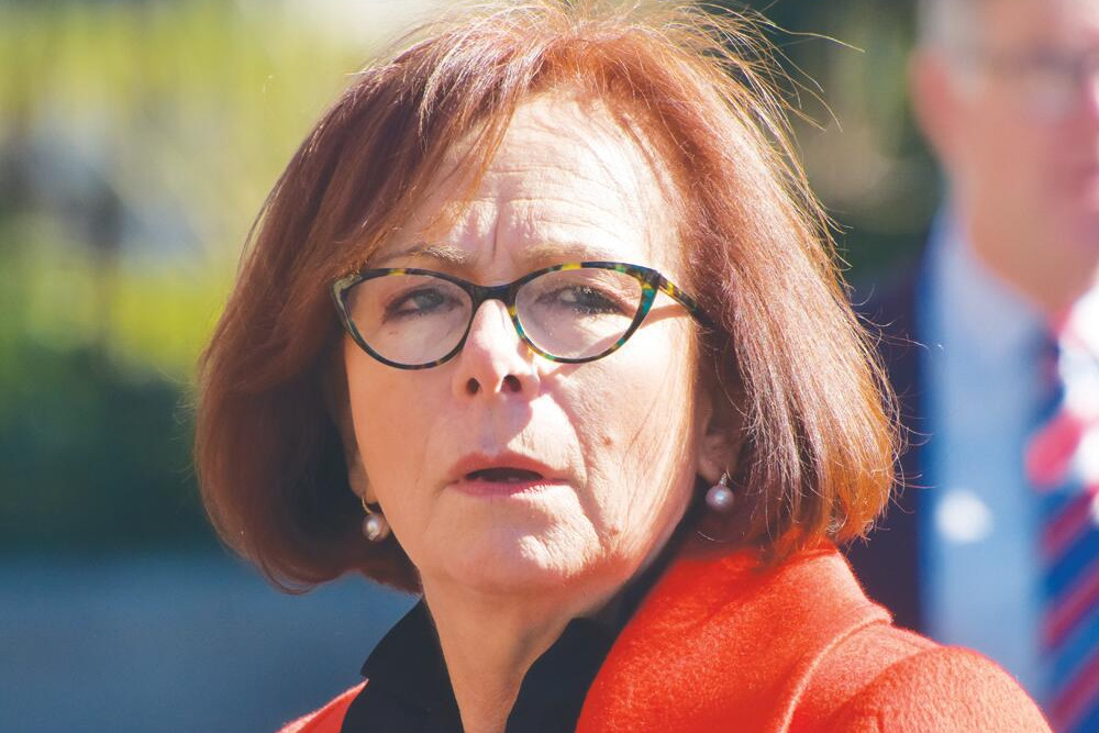 Mallee MP Anne Webster