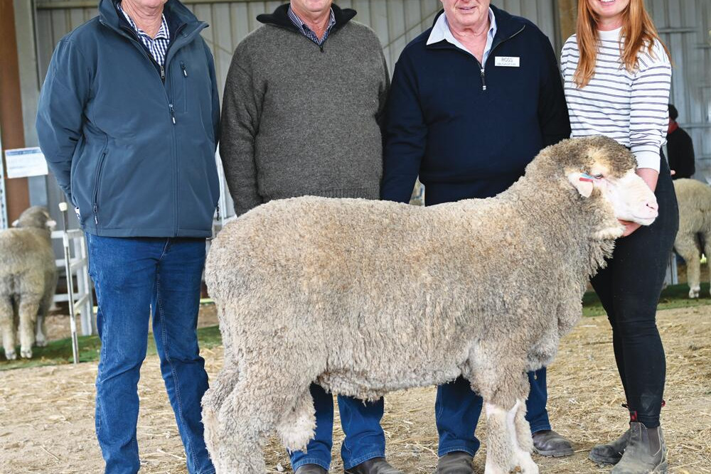 Warren and Stuart Duncan with Terrick West stud’s co-principals Ross and Claire McGauchie after paying top price at Friday’s sale for the 19.2 micron ram. LH PHOTO