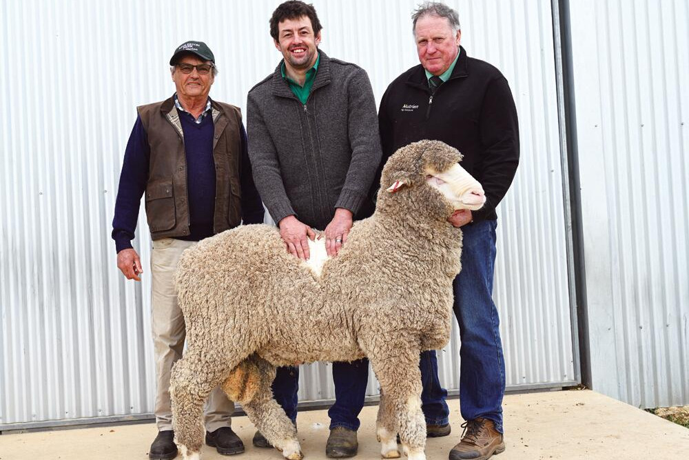 Kedleston Park principal John Humbert with Grant Heywood and agent Steven Chalmers are paying equal top price on two rams at the 2023 on-property sale. LH PHOTO