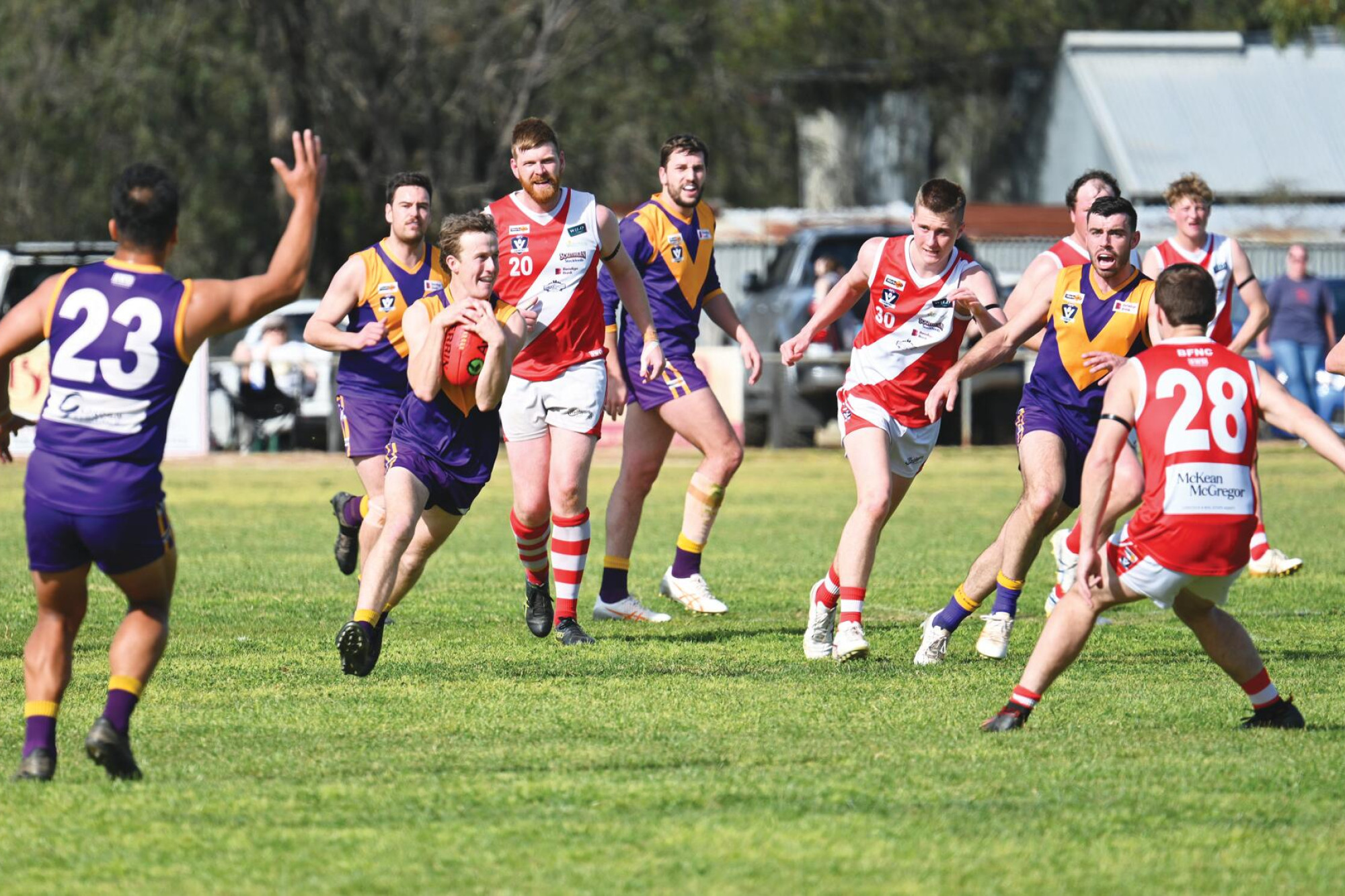 Bounce back Bears end repeat hopes - feature photo