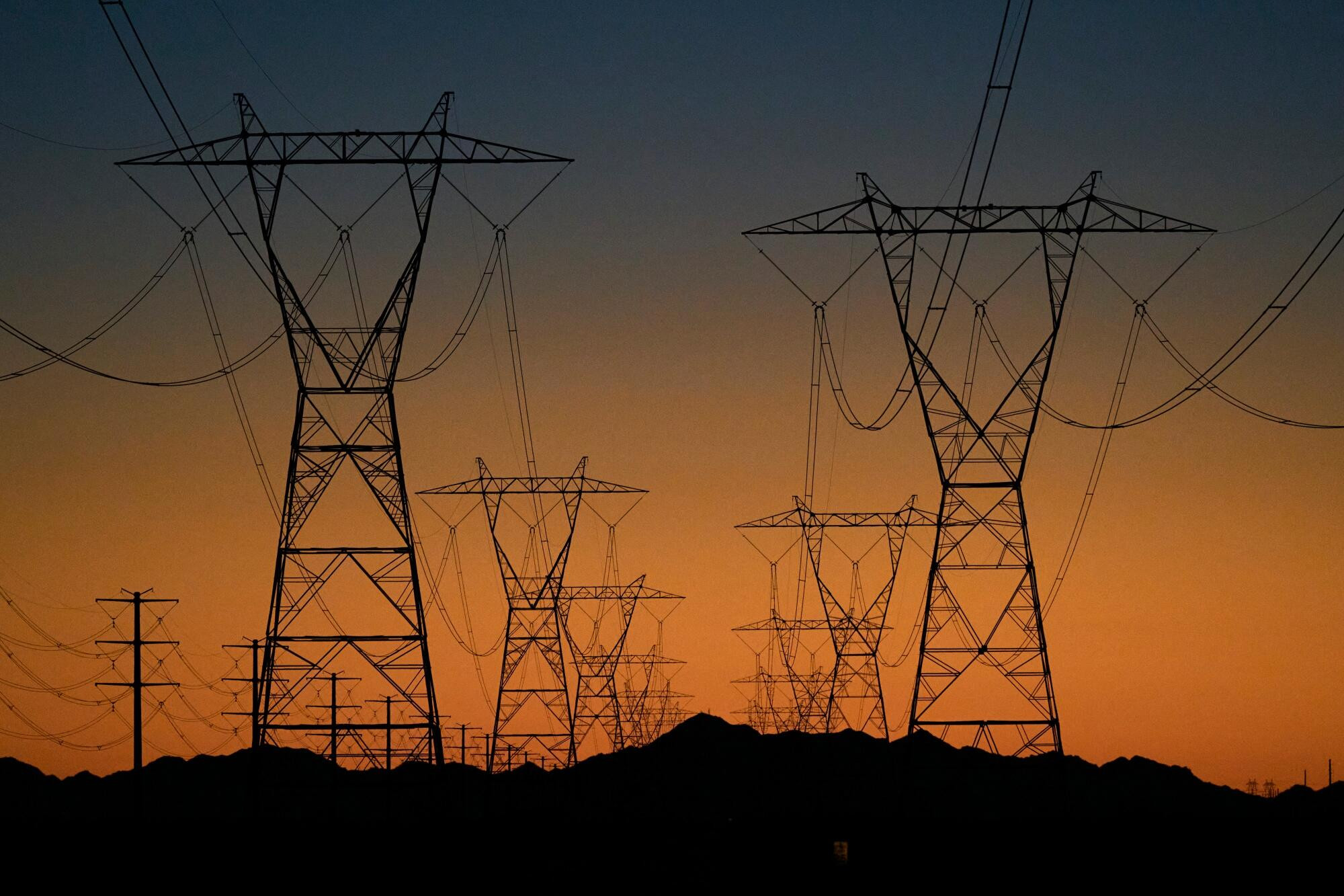 Councils chat VNI issues - feature photo