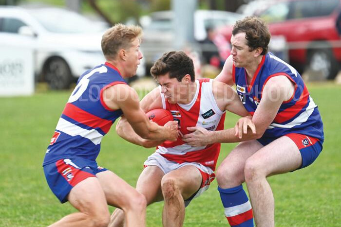 Billy's a hero in Dogs' winning return - feature photo