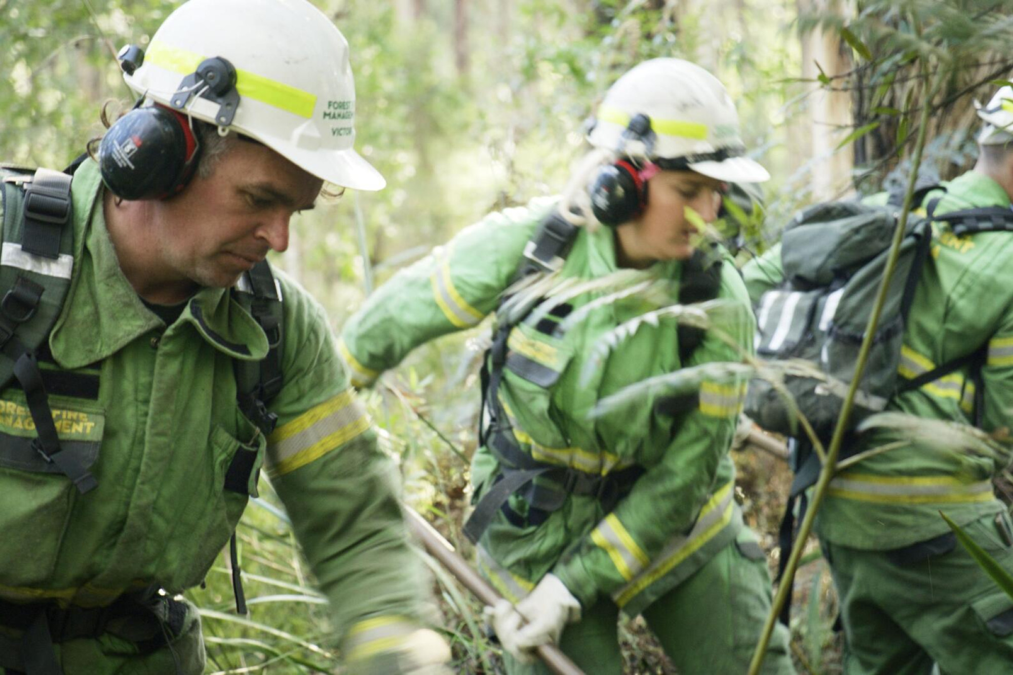Forest firies start wage rise action - feature photo