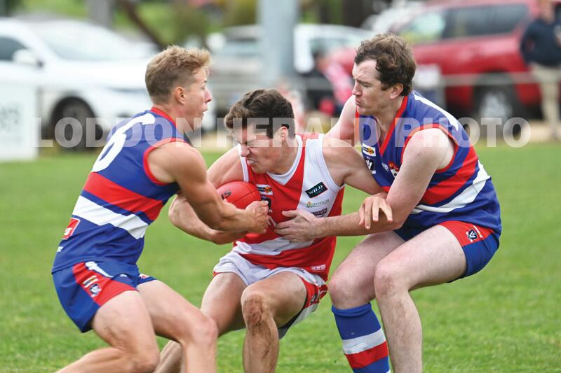 More hits for injury-riddled Dogs - feature photo