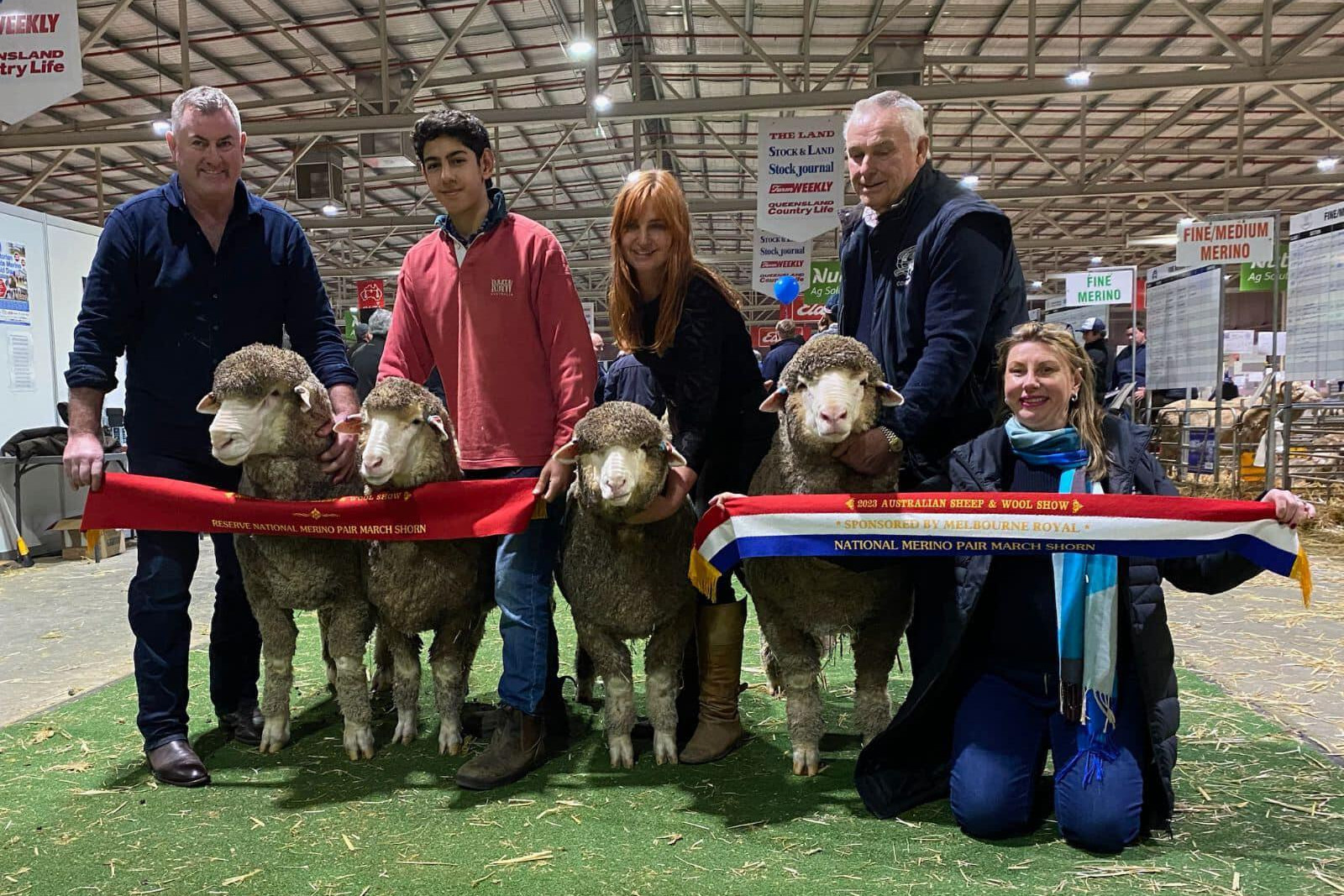 National champion and reserve champion March-shorn pairs - Terrick West Stud