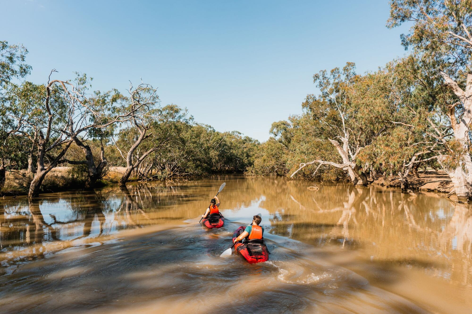 Regional plan could lure more visitors - feature photo