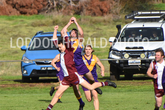 Pesky Panthers fire when tackled - feature photo