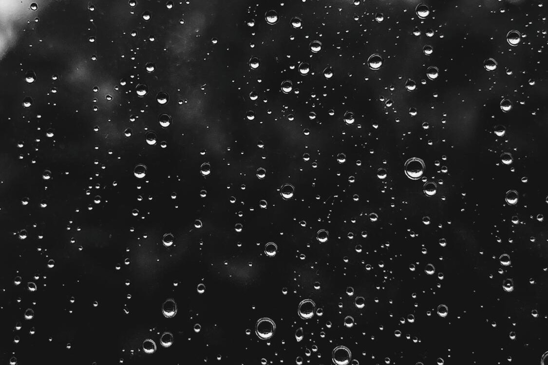 Rainfall headed to decade high - feature photo