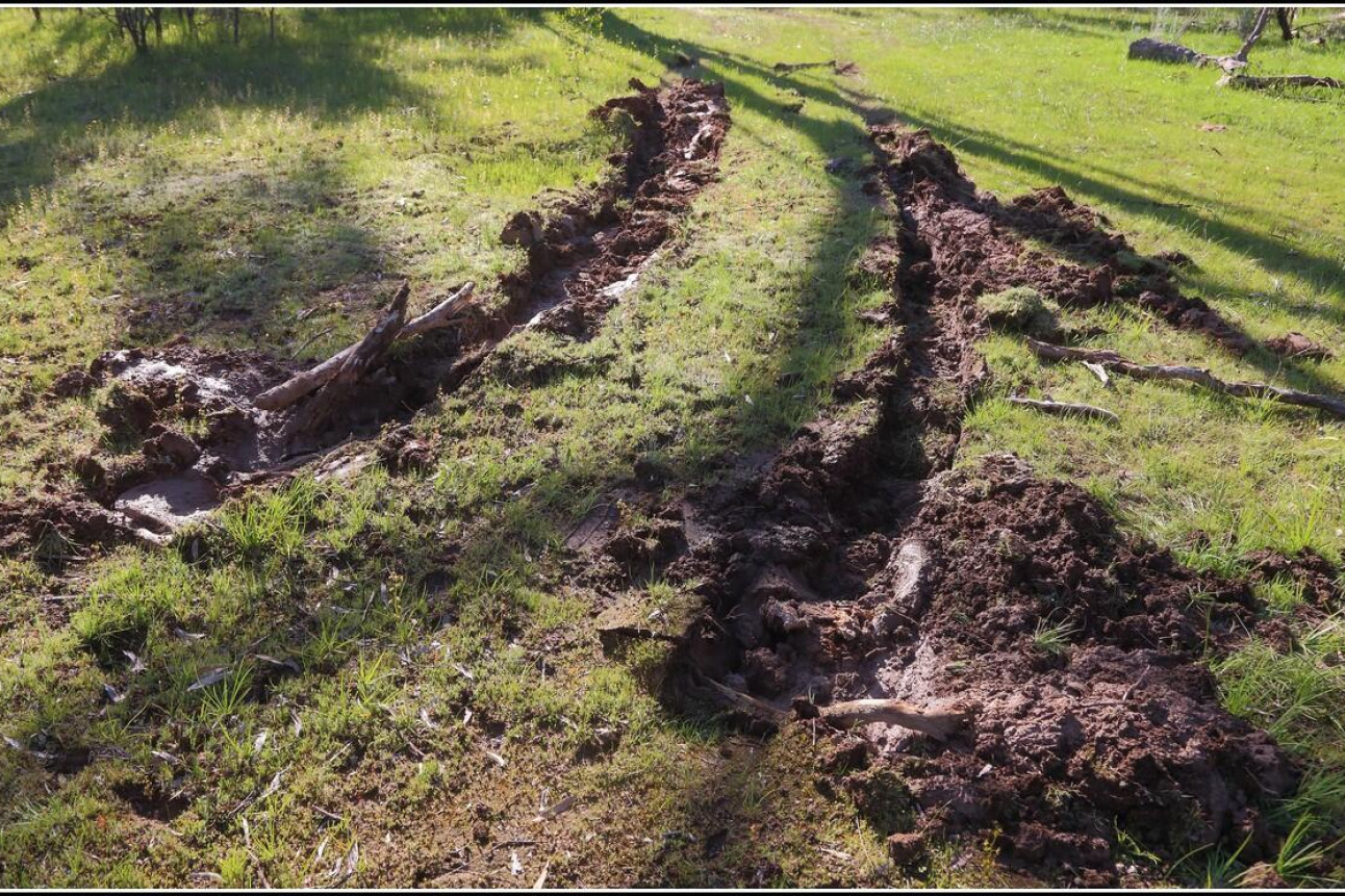 Hoons rip through park - feature photo