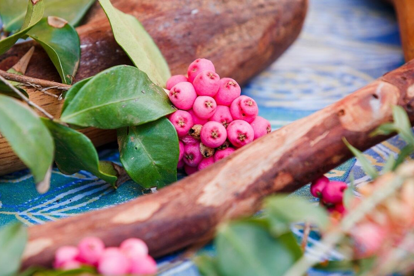 Bush tucker grant - feature photo