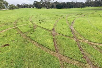 Hoons rip up fairway - feature photo