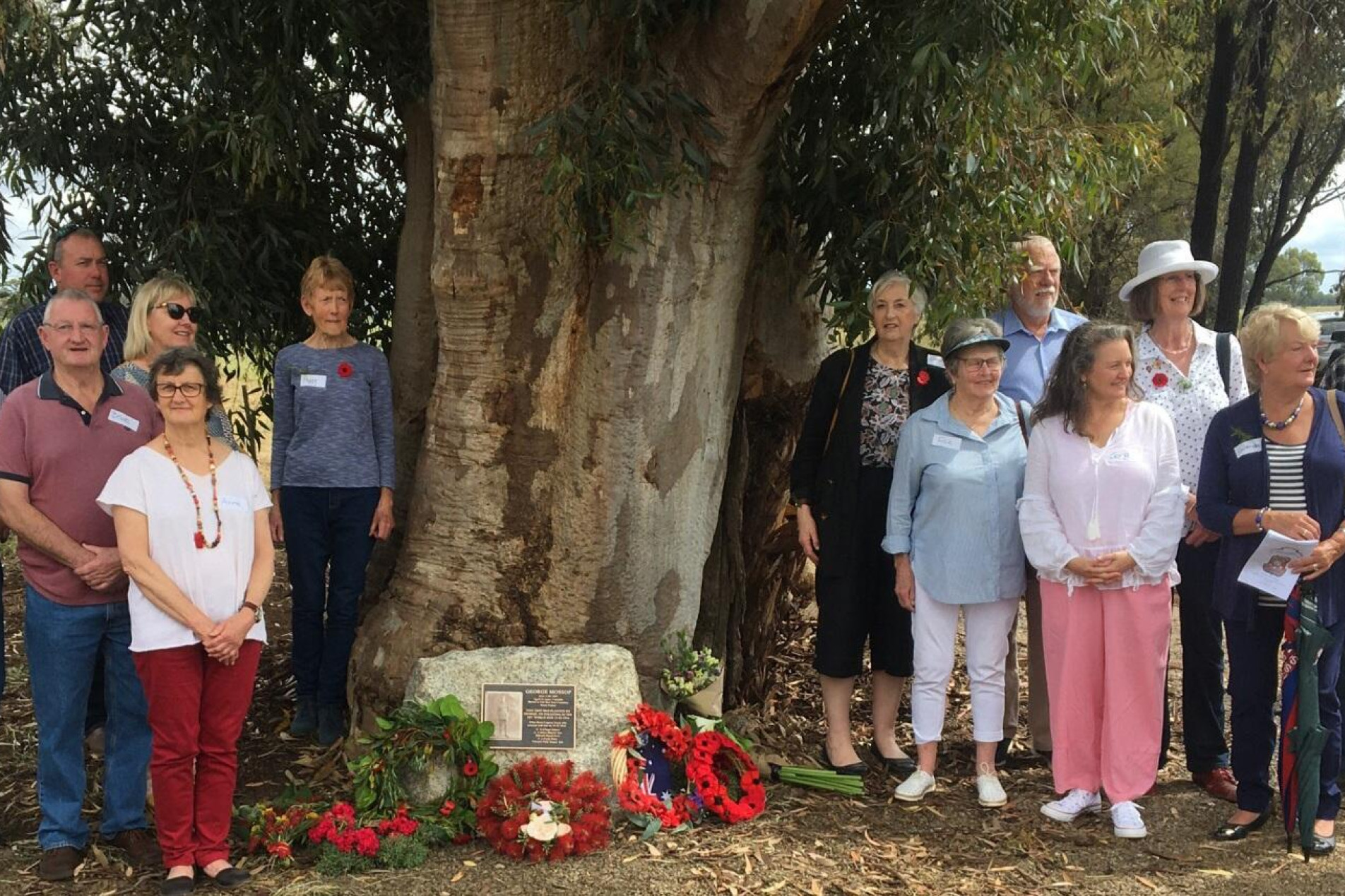 Descendants gather at tree - feature photo