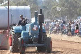 Rheola 150th to wait - feature photo