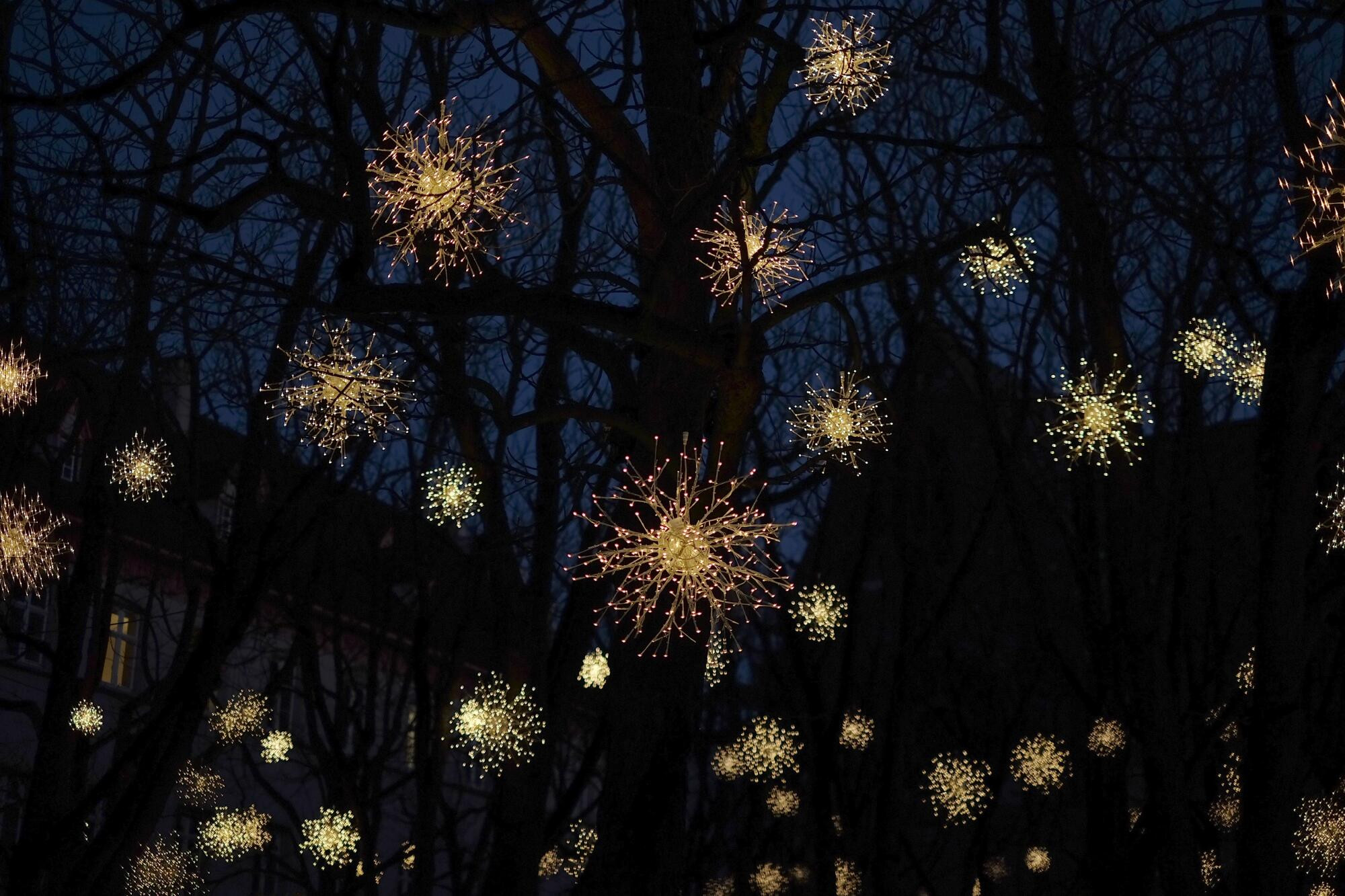 Lights of Christmas - feature photo