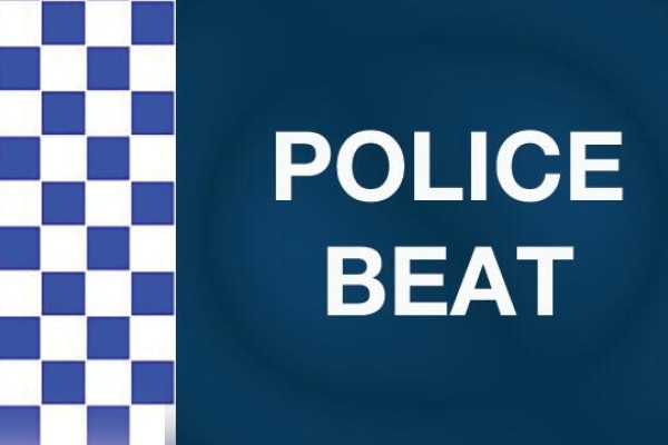 Police praise alert residents - feature photo