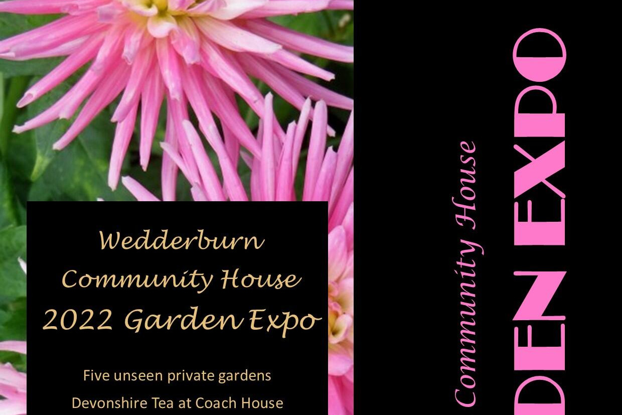 Garden expo on Sunday - feature photo
