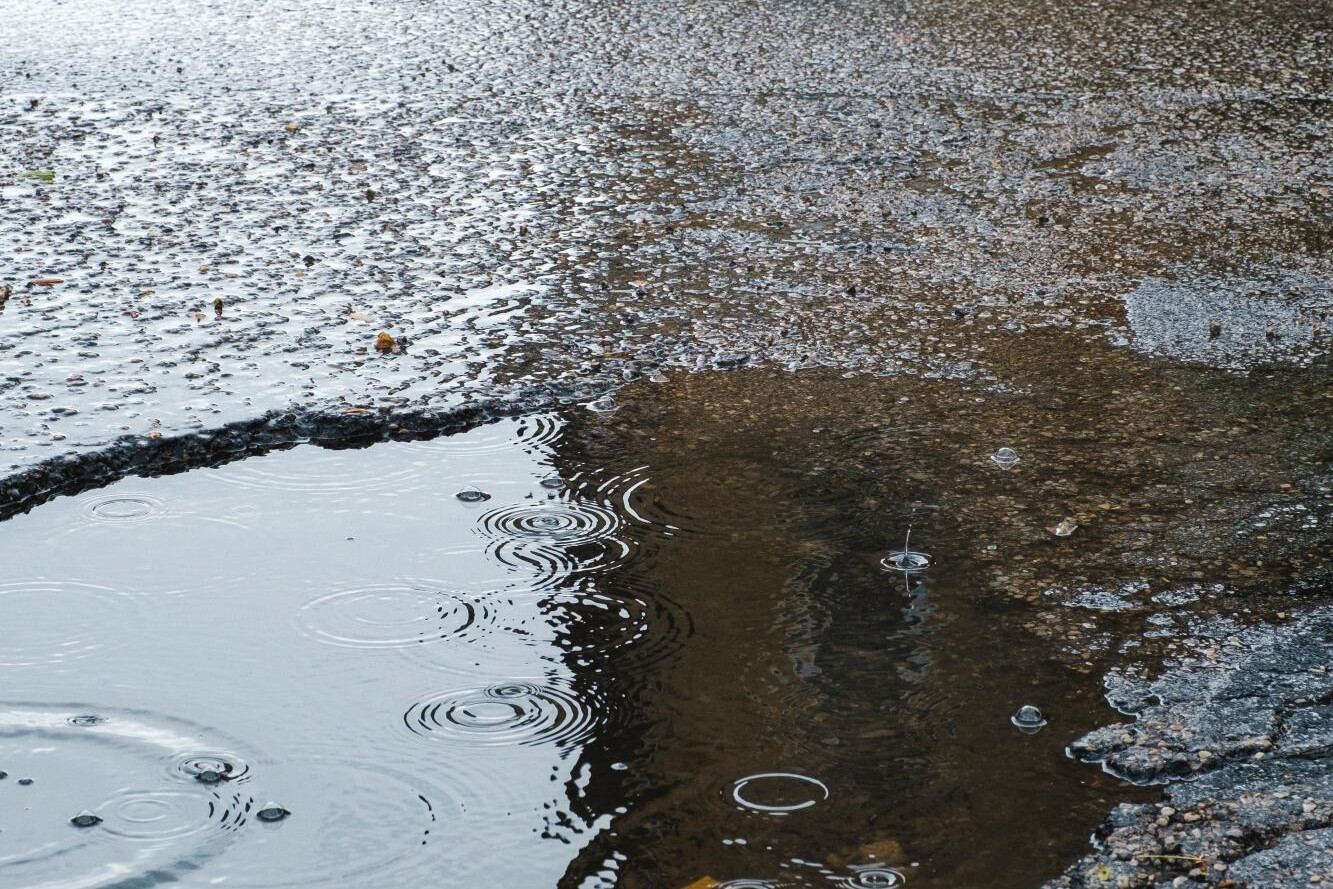 Roads 'rough as guts' - feature photo