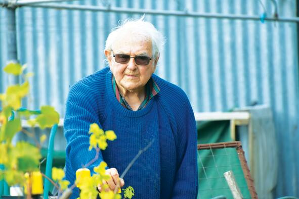 Ivan turns 100! - feature photo