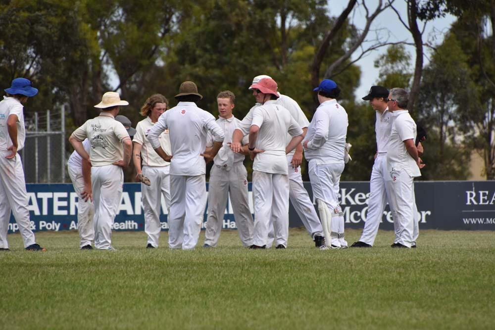 Bulls ditch monkey - feature photo