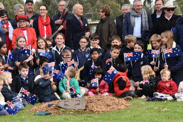 Queen's new tree - feature photo