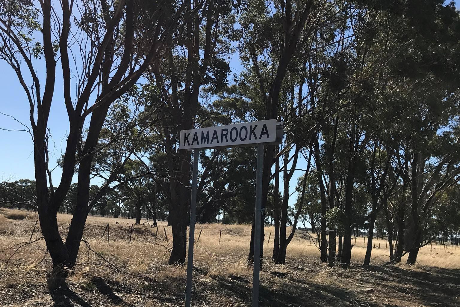 New memorial at park - feature photo