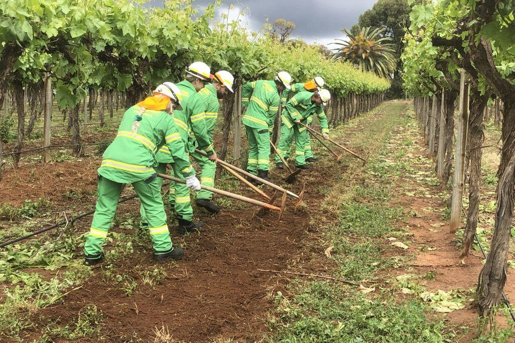 Summer firies in training - feature photo
