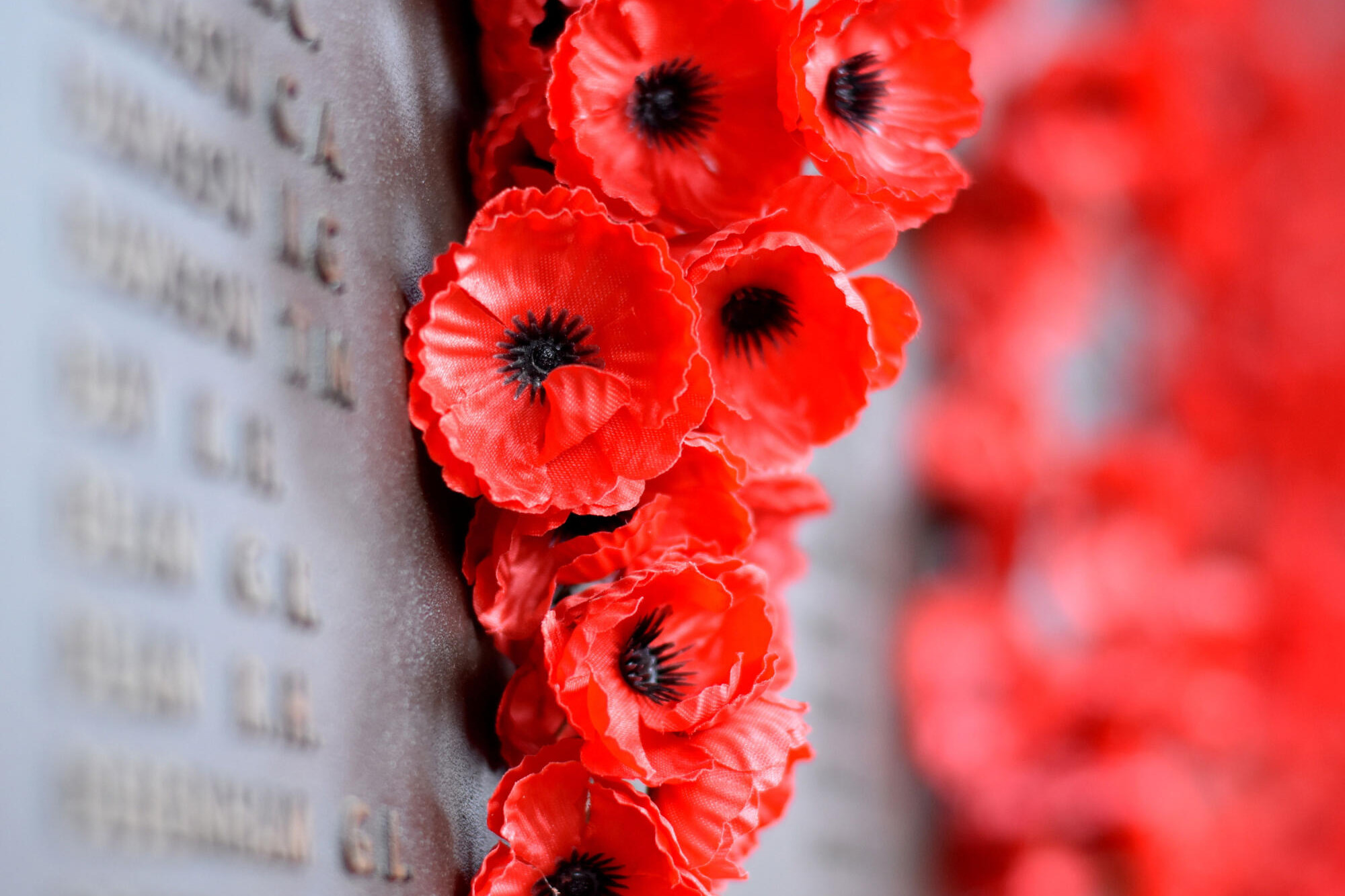 Remembering at Dawn - feature photo