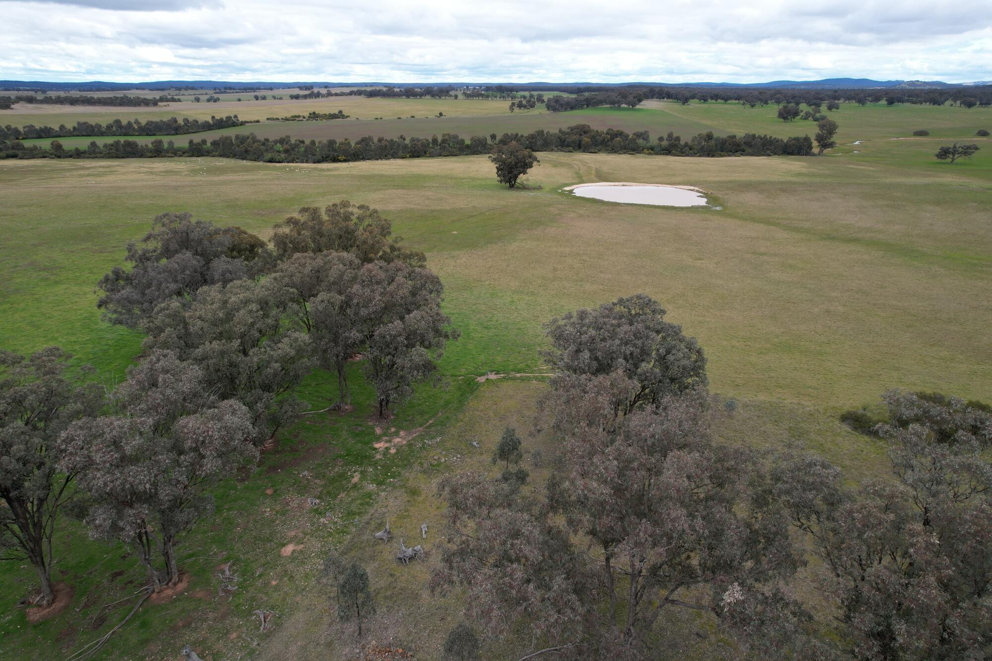 Creeks and grey loam - feature photo