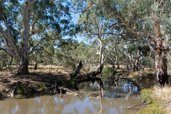 River level eases - feature photo