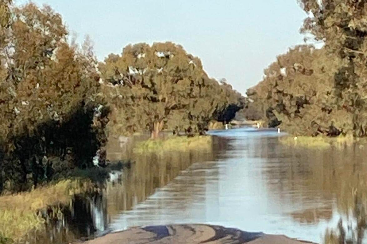 Calivil water rising fast - feature photo