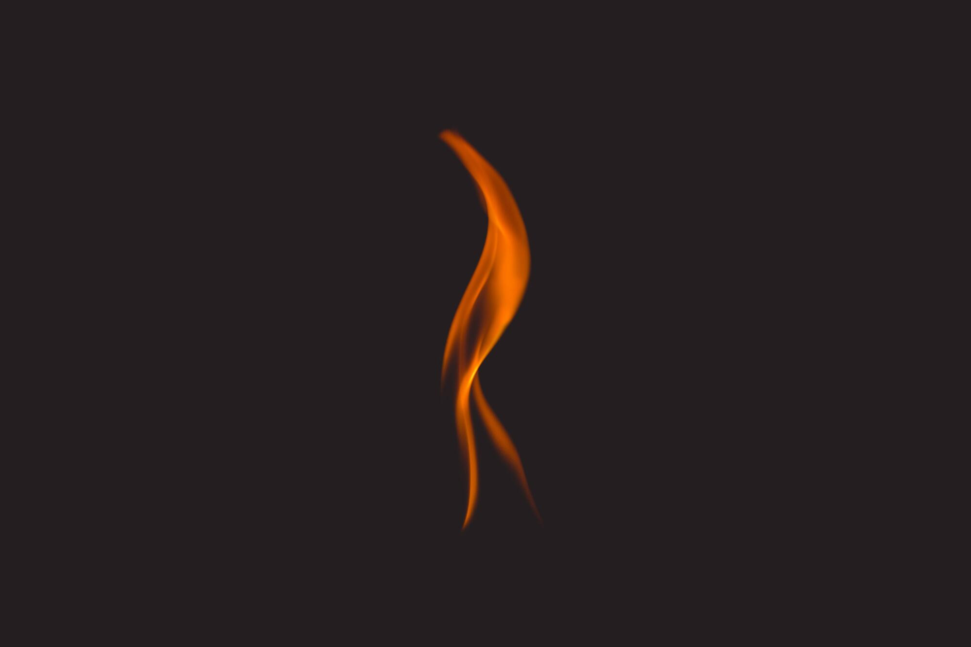 Cultural burn planned - feature photo