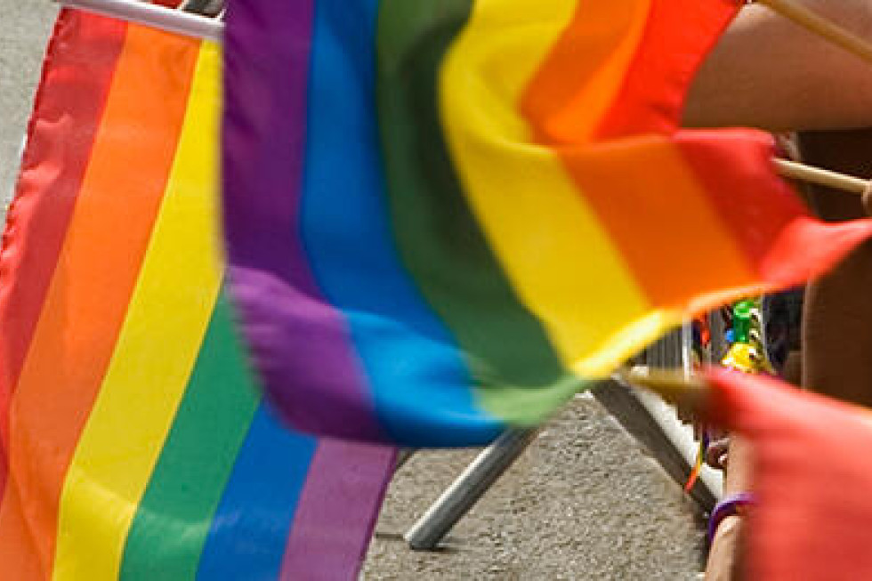 Council will fly rainbow flag - feature photo
