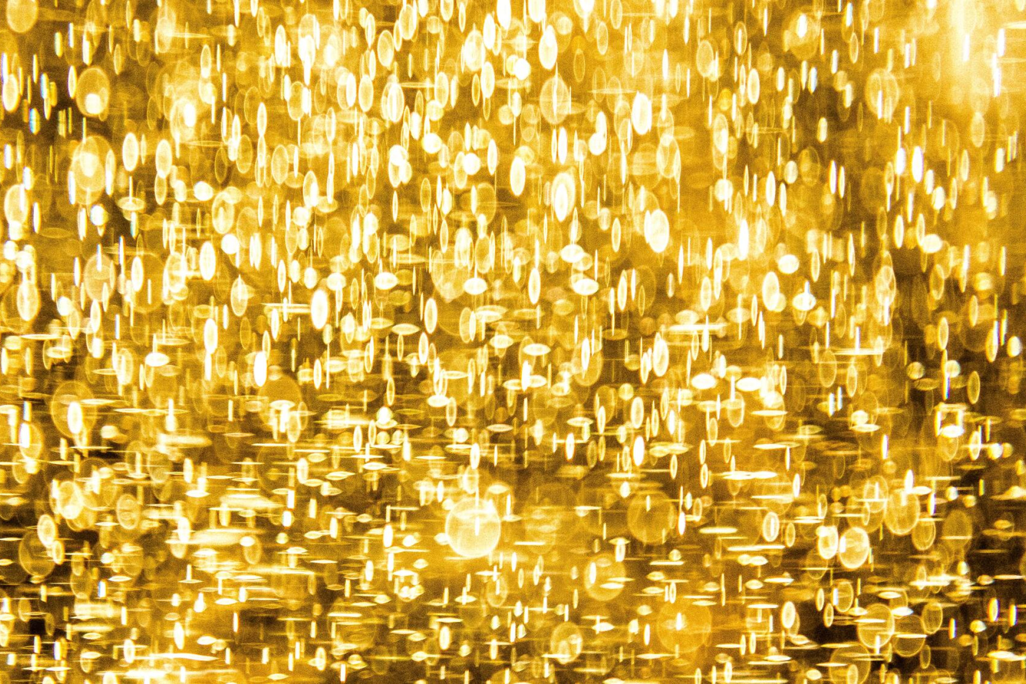 Golden hopes - feature photo