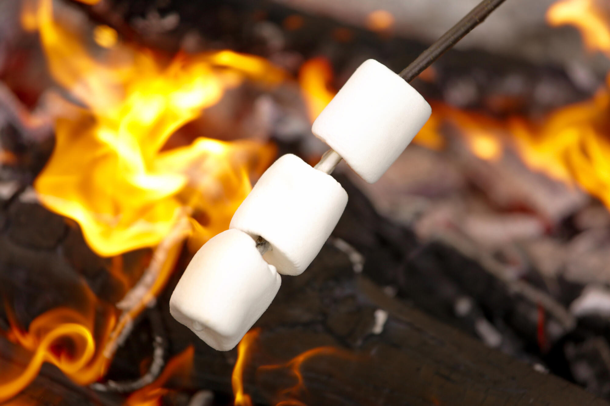 Campfire warning - feature photo