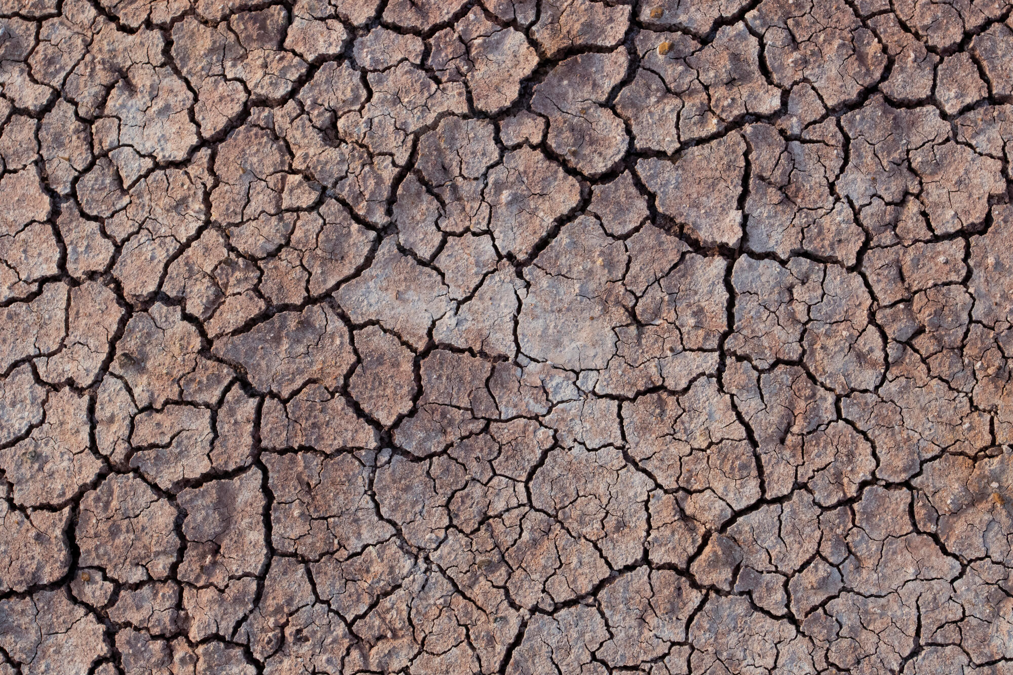 Drought grants open - feature photo