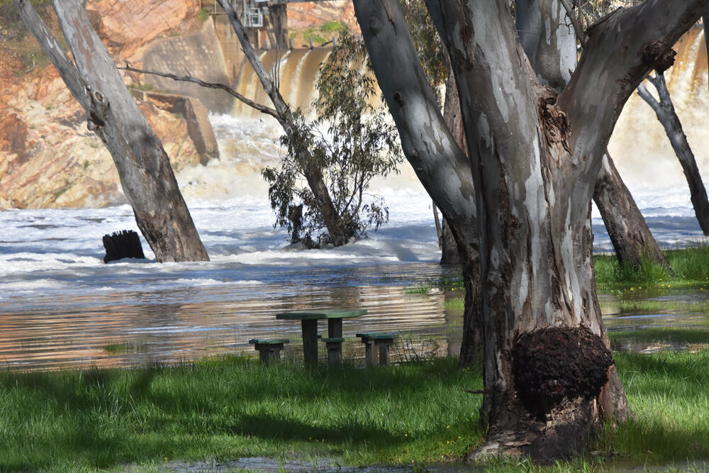 Moderate flood level continues - feature photo