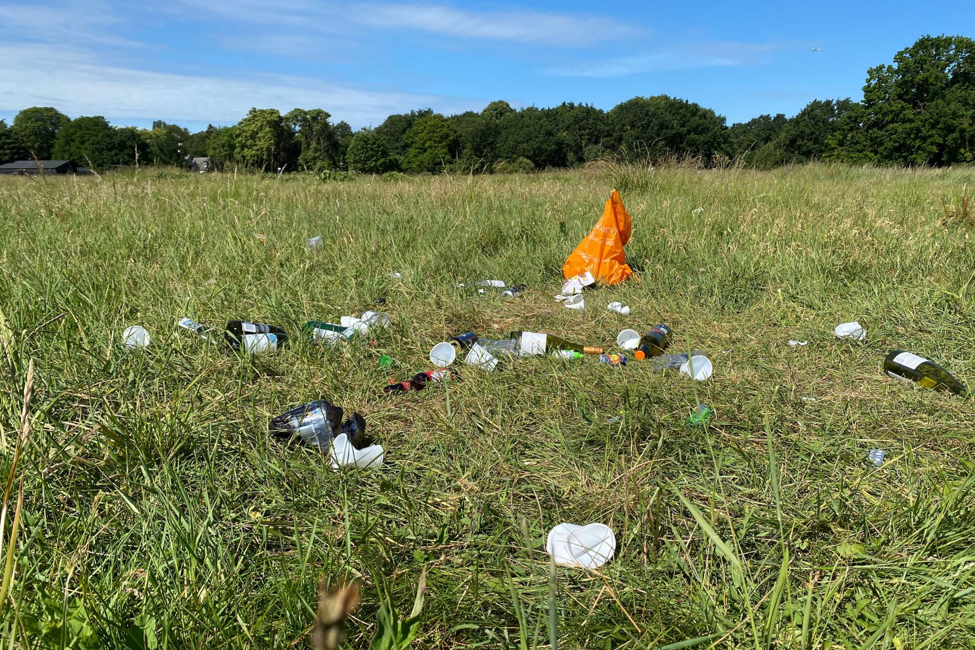 Don't litter over summer - feature photo