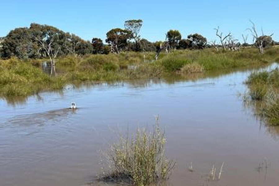 Creek not as high at Pyramid - feature photo