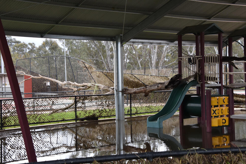 Clean up starts - feature photo
