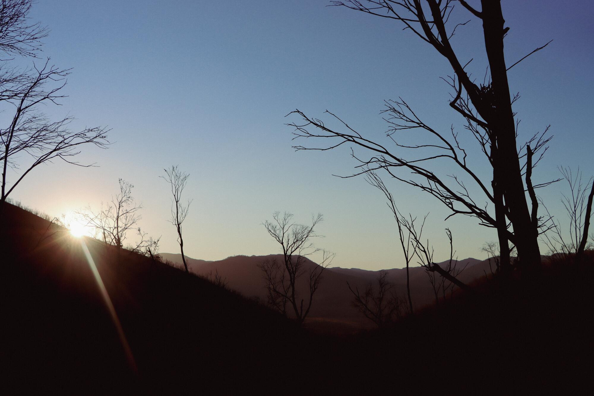 Be safe in the bush - feature photo