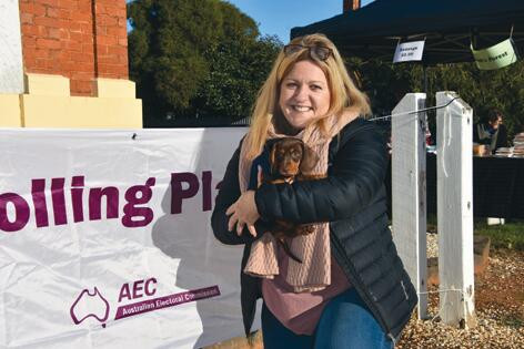 Dogs, sausages and votes - feature photo