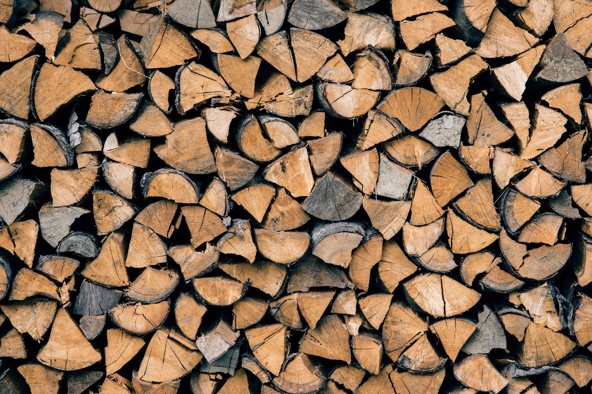 Firewood collection caution - feature photo