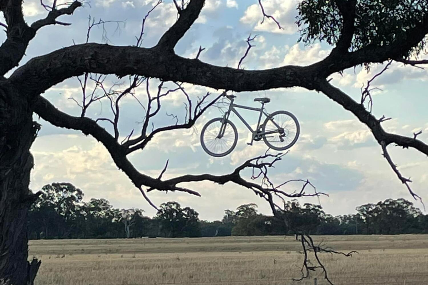 White bike slueths - feature photo